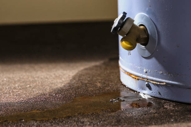 Reliable West Wyoming, PA Water damage restoration Solutions