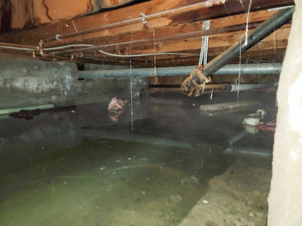 Best Residential water damage restoration  in West Wyoming, PA