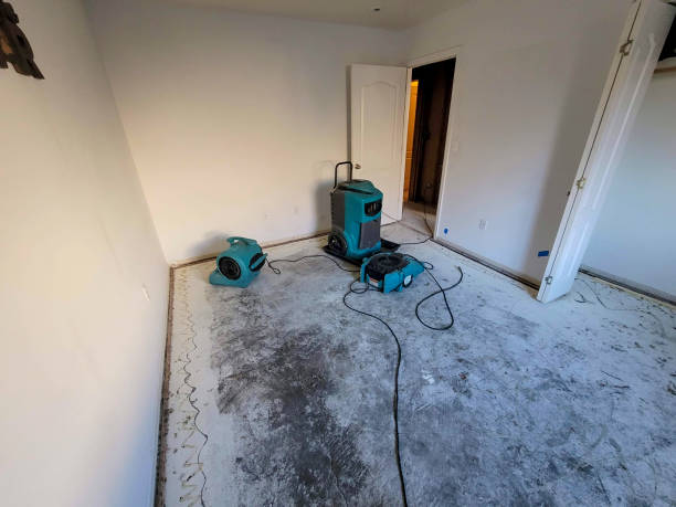 Best Local water damage restoration  in West Wyoming, PA
