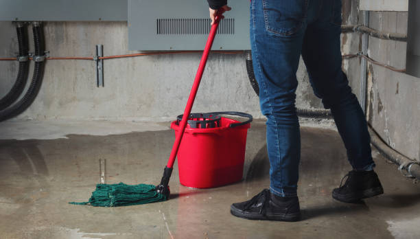 Best Sewage cleanup and water damage restoration  in West Wyoming, PA