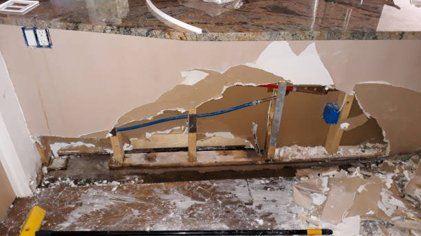 Best Water damage restoration services  in West Wyoming, PA