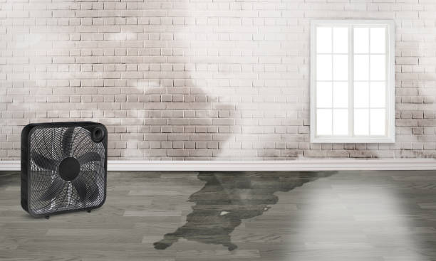 Water damage restoration mold remediation in West Wyoming, PA