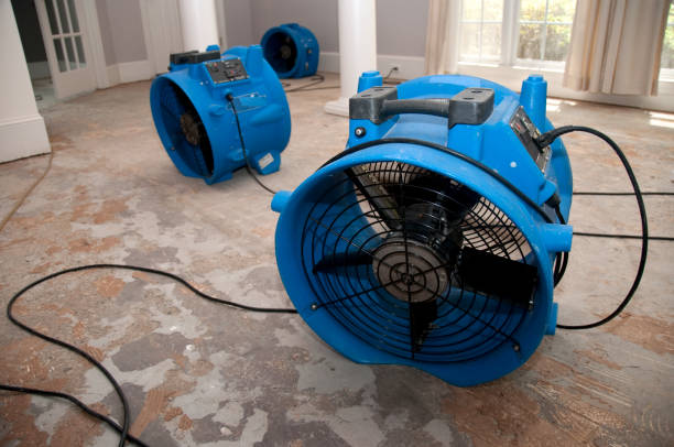 Best Basement water damage restoration  in West Wyoming, PA