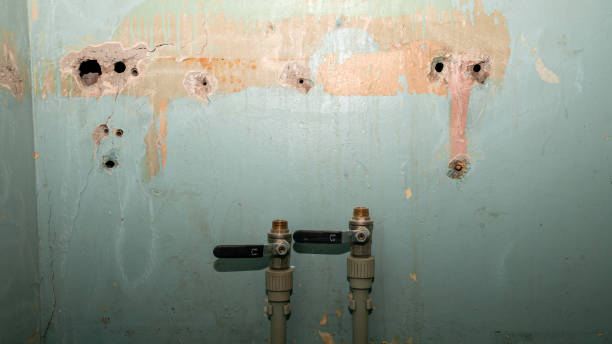Best Flooded house restoration  in West Wyoming, PA
