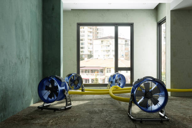 Sewage cleanup and water damage restoration in West Wyoming, PA